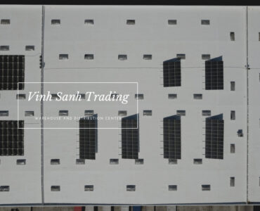 Vinh Sanh Trading
