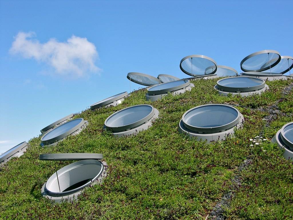 A green roof with a lot of holes in it.